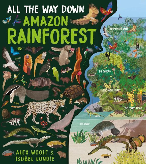 Cover: 9781913337988 | All The Way Down: Amazon Rainforest | Alex Woolf | Buch | Gebunden