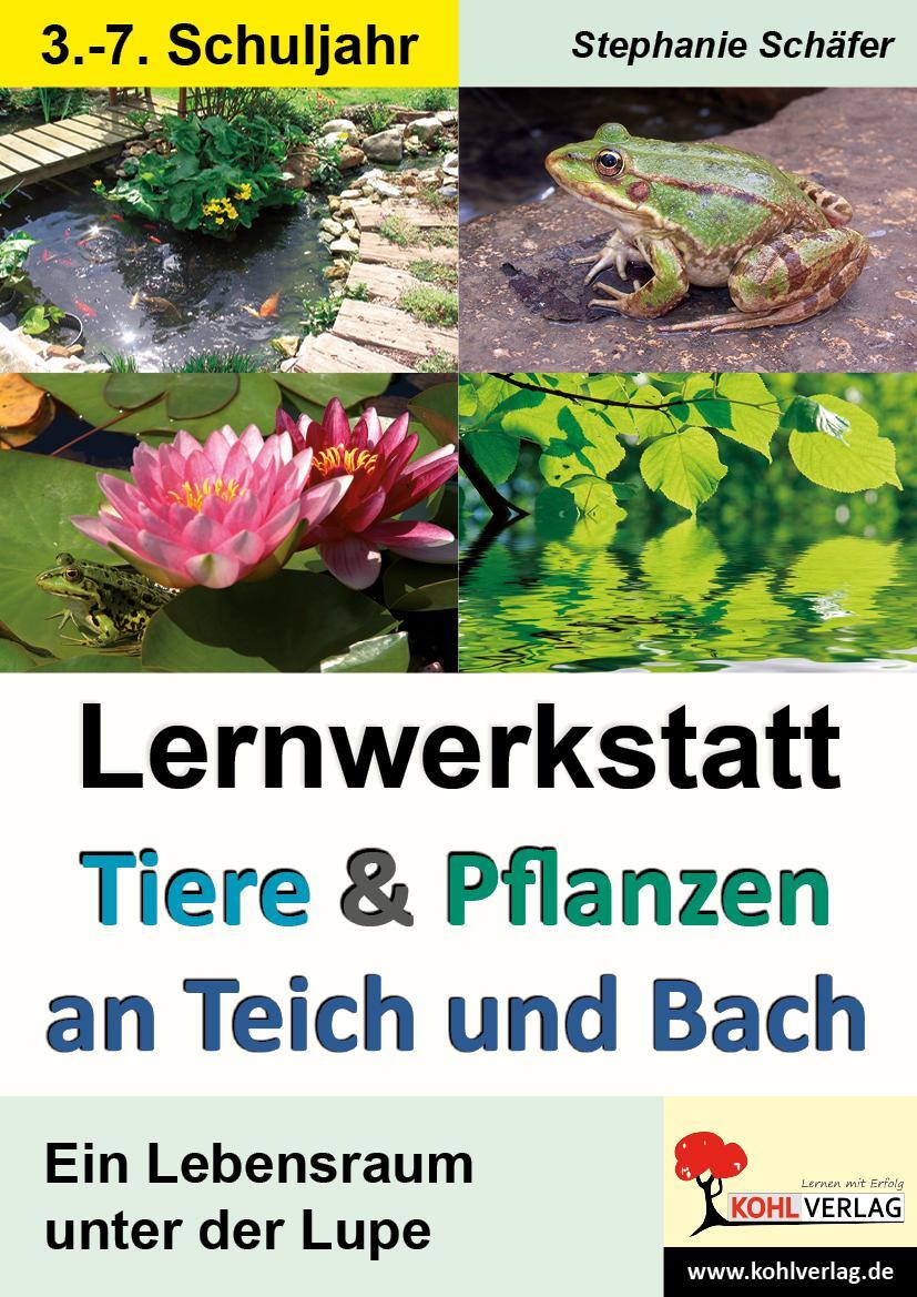 Cover: 9783866324558 | Tiere & Pflanzen an Teich und Bach | Stephanie Schäfer | Taschenbuch