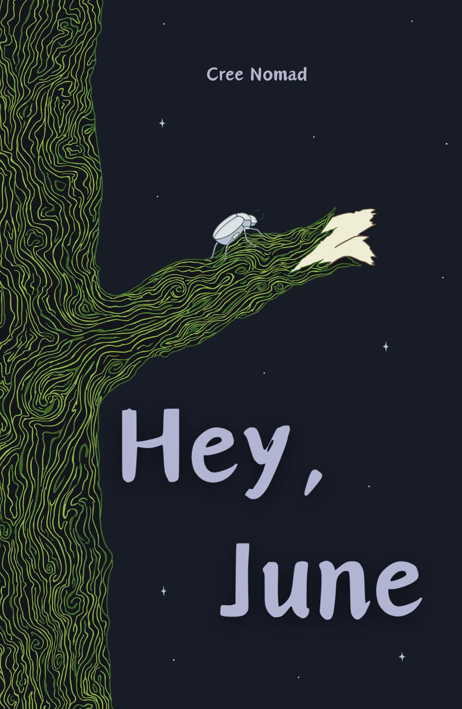 Cover: 9781738315307 | Hey, June | Cree Nomad | Taschenbuch | Englisch | 2024