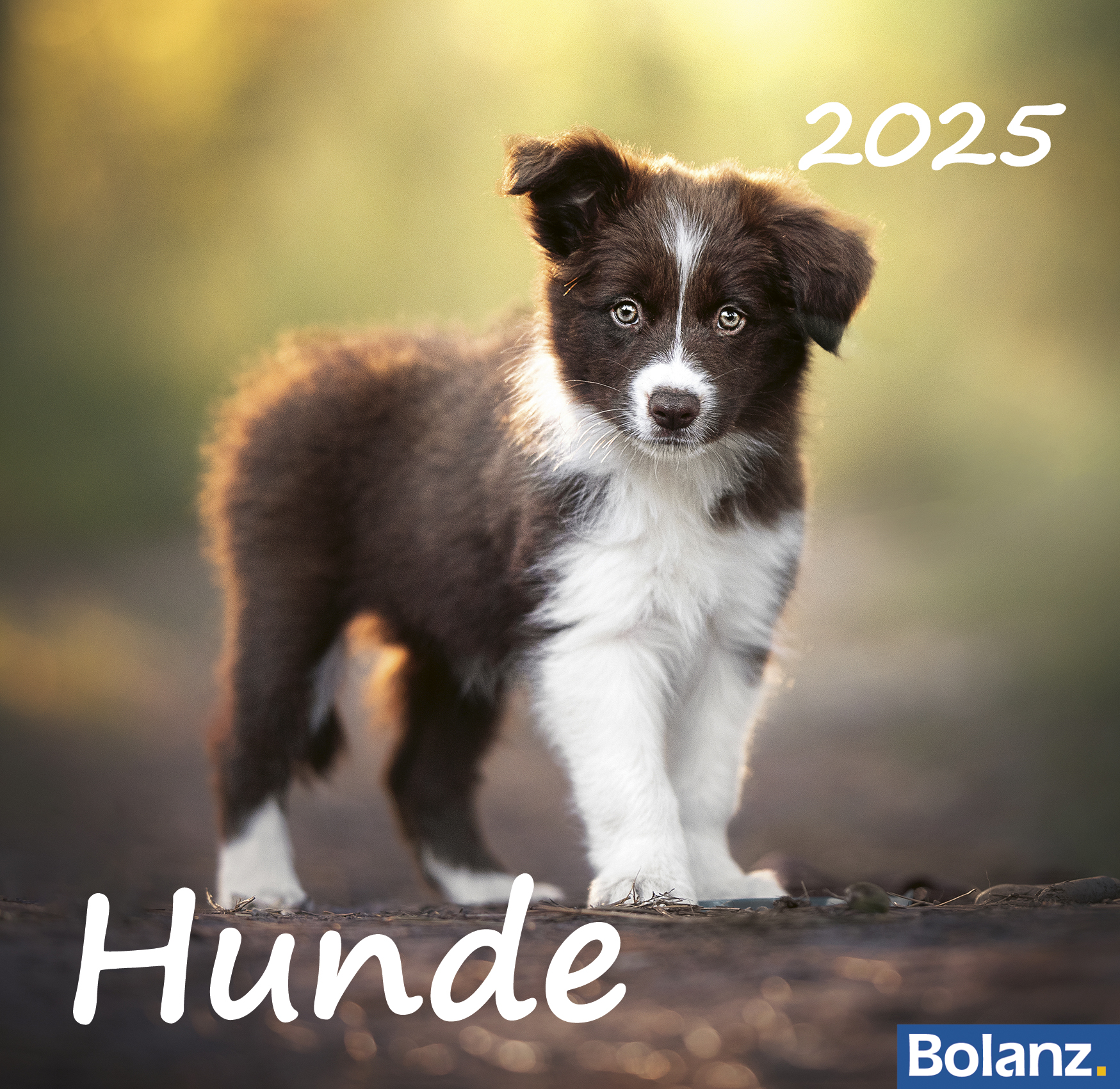 Cover: 9783866038493 | Hunde 2025 | Kalender | 13 S. | Deutsch | 2025 | EAN 9783866038493