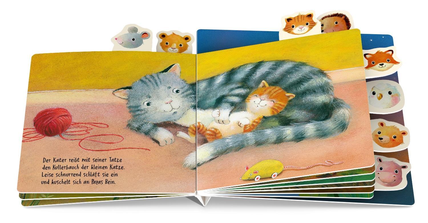 Bild: 9783751202534 | Wie kleine Tierkinder schlafen gehen | Gute-Nacht-Registerbuch | Buch