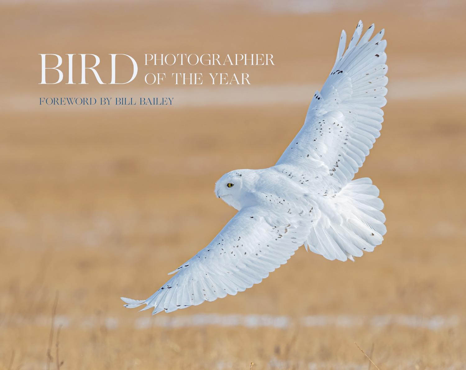 Cover: 9780008496241 | Bird Photographer of the Year | Collection 6 | Year | Buch | Gebunden