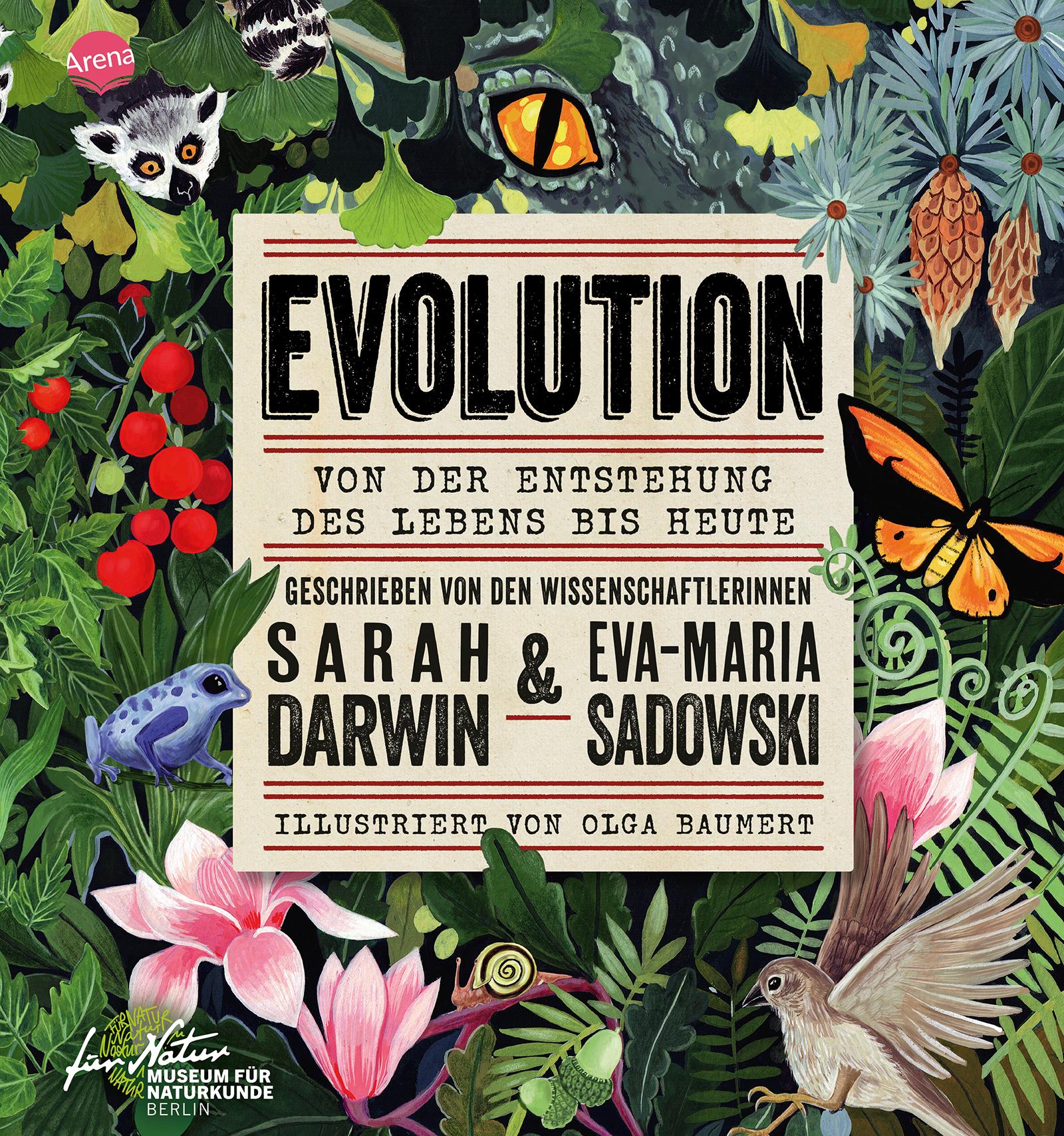 Cover: 9783401720654 | EVOLUTION. Von der Entstehung des Lebens bis heute | Darwin (u. a.)