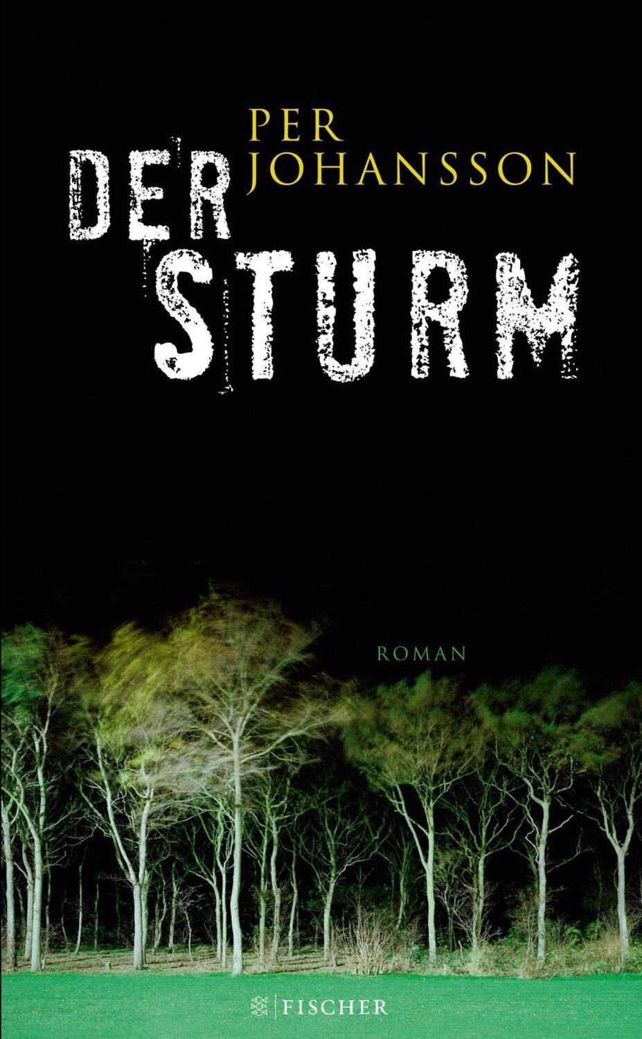 Cover: 9783100170262 | Der Sturm | Kriminalroman | Per Johansson | Buch | 336 S. | Deutsch