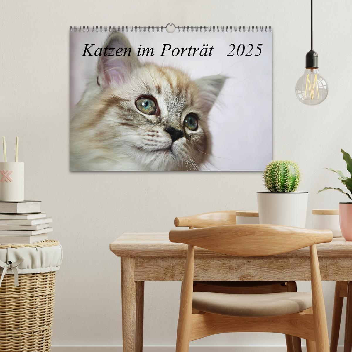 Bild: 9783435733859 | Katzen im Porträt / Geburtstagskalender (Wandkalender 2025 DIN A3...