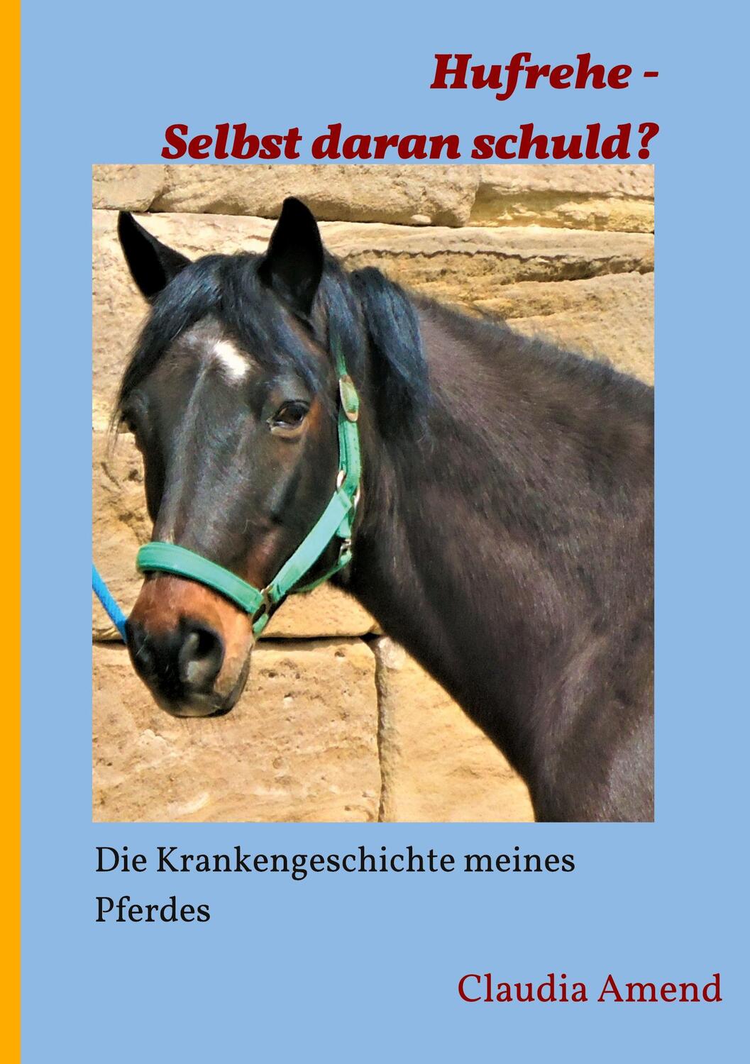 Cover: 9783347043411 | Hufrehe - Selbst daran schuld? | Die Krankengeschichte meines Pferdes