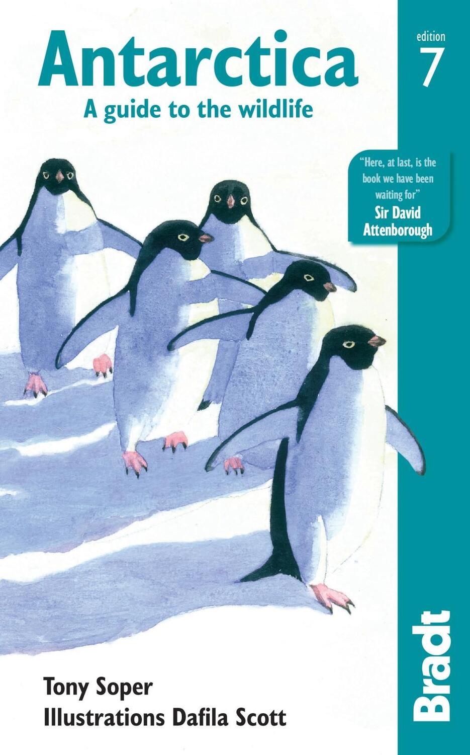 Cover: 9781784770914 | Antarctica: A Guide to the Wildlife | Tony Soper | Taschenbuch | 2018