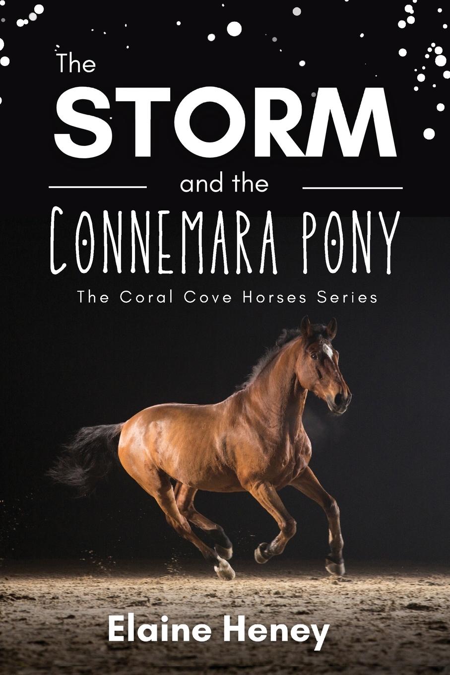 Cover: 9781915542229 | The Storm and the Connemara Pony - The Coral Cove Horses Series | Buch