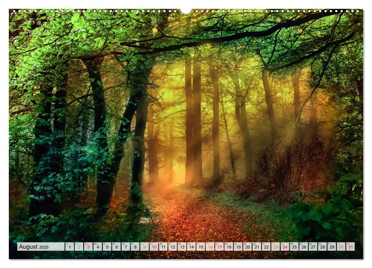 Bild: 9783435071173 | Wald - mystische Spaziergänge (Wandkalender 2025 DIN A2 quer),...