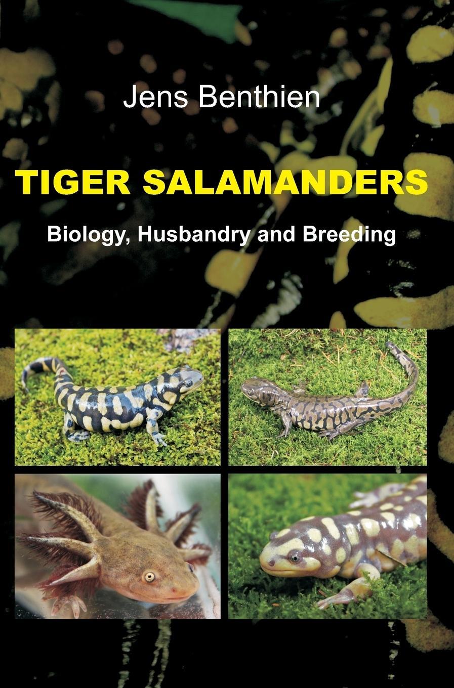 Cover: 9783748205197 | Tiger Salamanders | Jens Benthien | Buch | HC gerader Rücken kaschiert