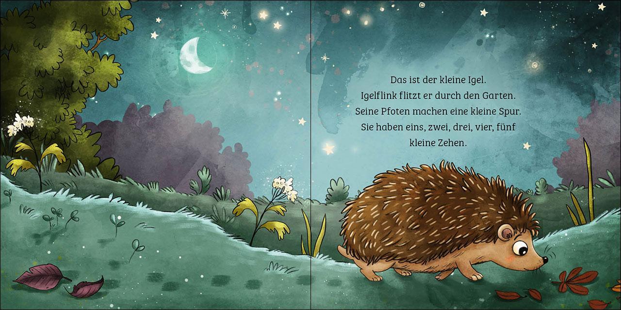 Bild: 9783743213159 | Mein erstes Naturbuch - Der Igel | Sandra Grimm | Buch | Naturkind