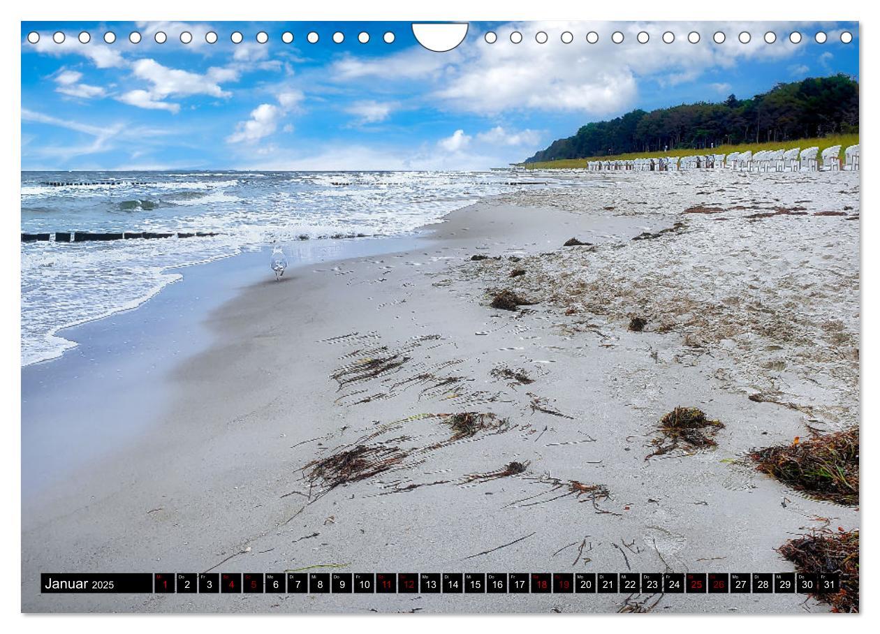 Bild: 9783435024179 | Fischland - Darß- Zingst (Wandkalender 2025 DIN A4 quer), CALVENDO...