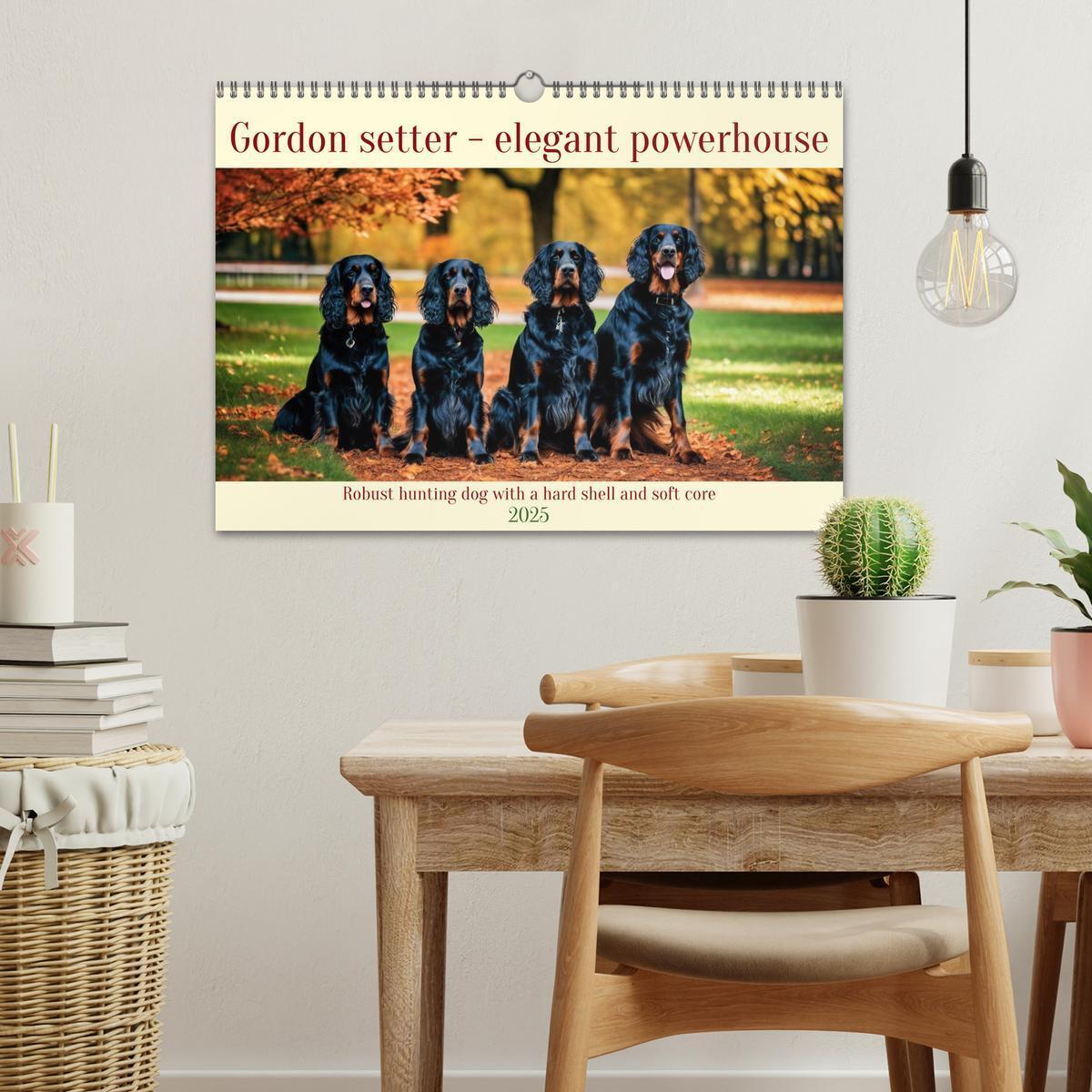 Bild: 9781325979608 | Gordon Setter - elegant powerhouse (Wall Calendar 2025 DIN A3...