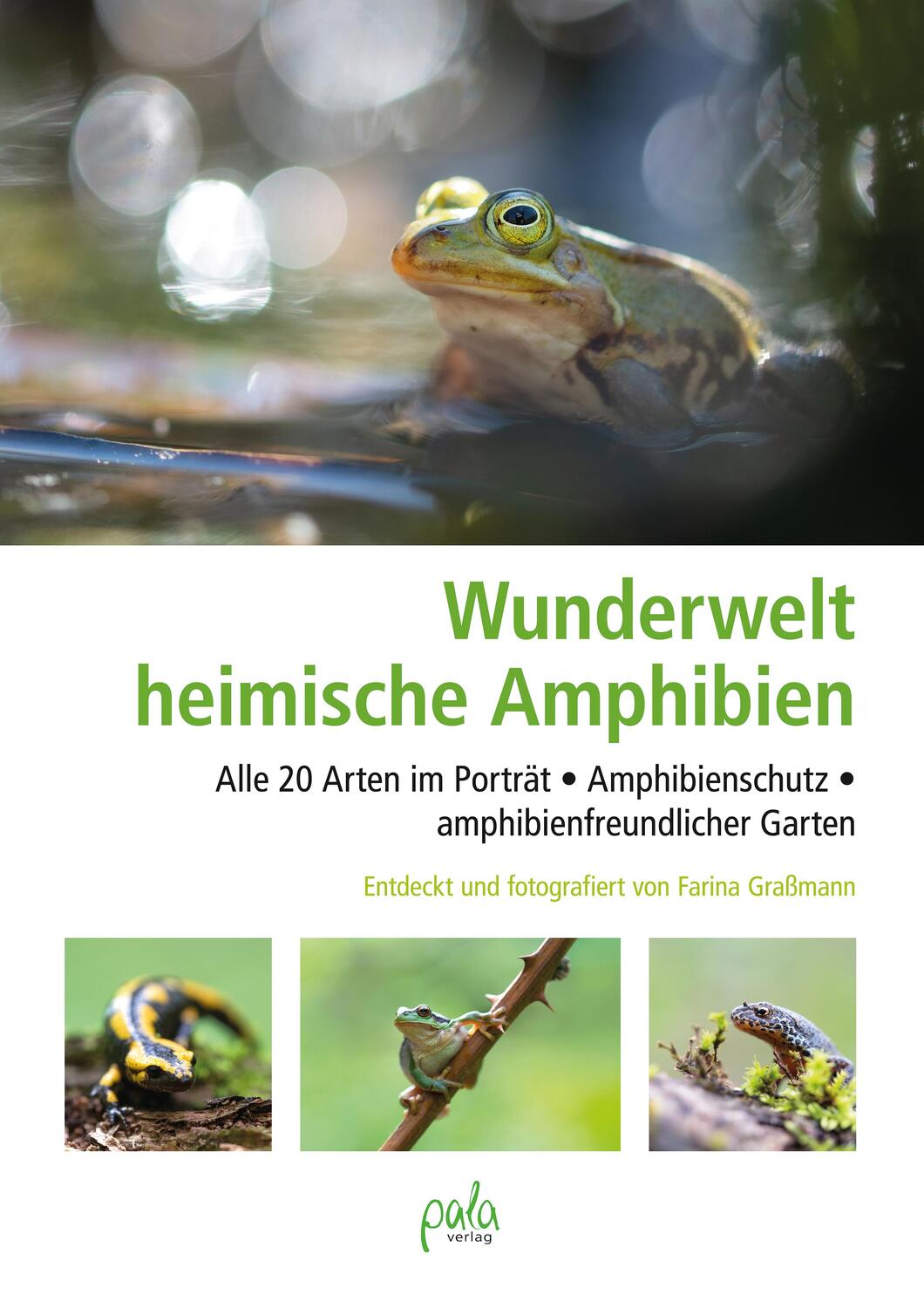 Cover: 9783895664199 | Wunderwelt heimische Amphibien | Farina Graßmann | Buch | 176 S.