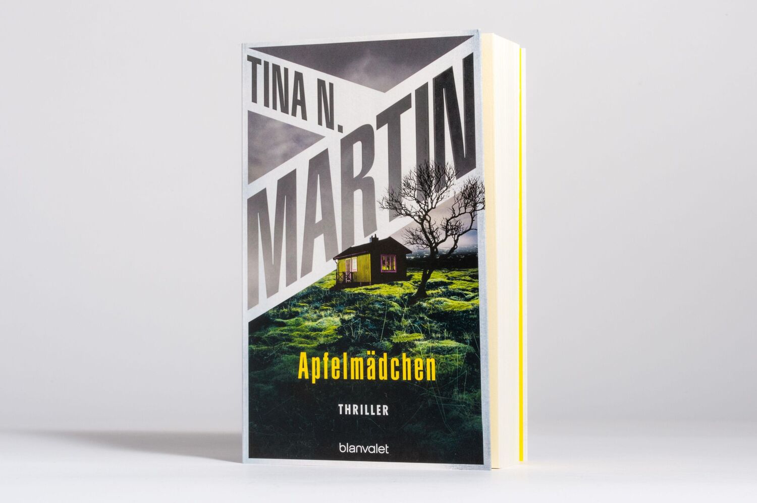 Bild: 9783734111655 | Apfelmädchen | Tina N. Martin | Taschenbuch | 512 S. | Deutsch | 2023