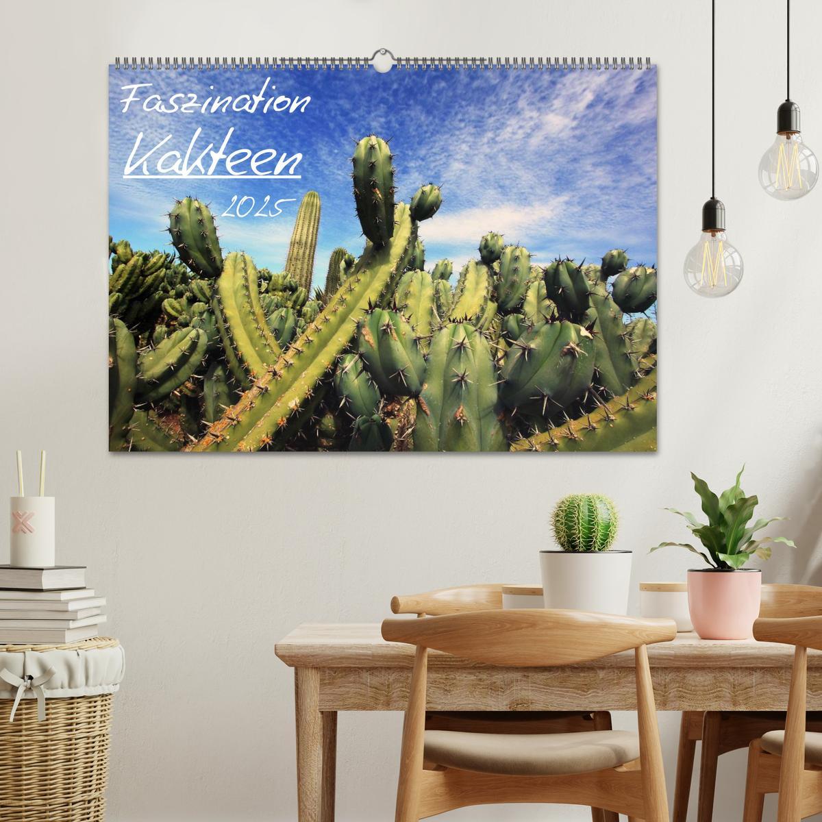 Bild: 9783435805709 | Faszination Kakteen (Wandkalender 2025 DIN A2 quer), CALVENDO...