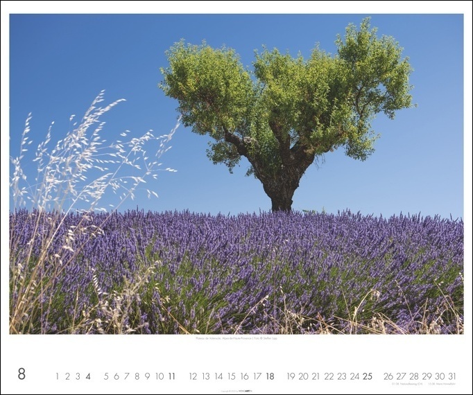 Bild: 9783840084522 | Provence Kalender 2024. Traumhafte Lavendelfelder und kleine Dörfer...