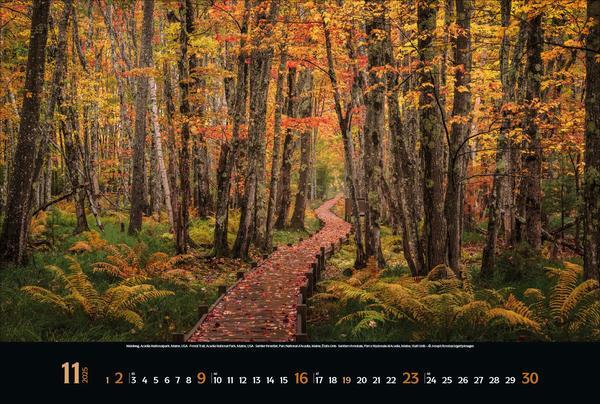 Bild: 9783731875994 | Colourful Seasons 2025 | Verlag Korsch | Kalender | 14 S. | Deutsch