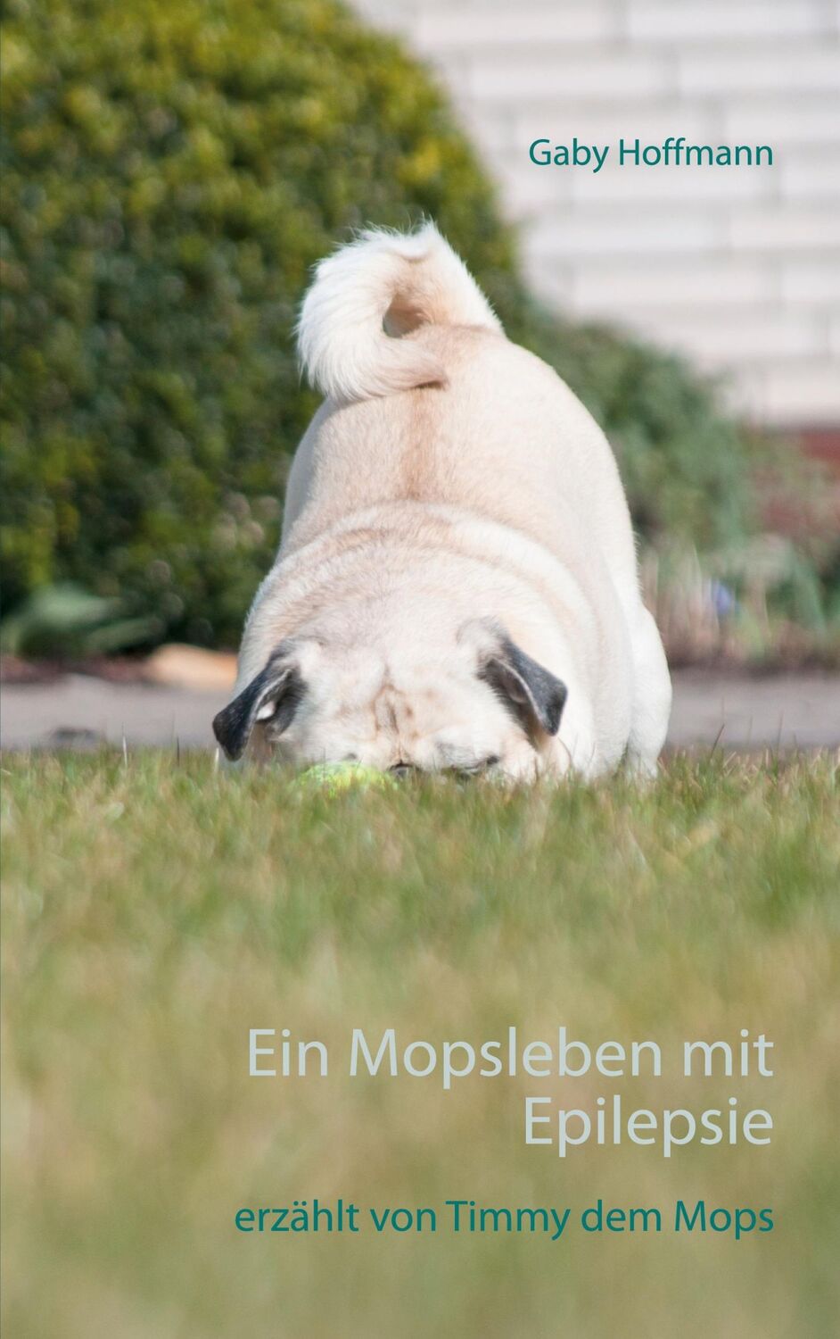 Cover: 9783753403960 | Ein Mopsleben mit Epilepsie | erzählt von Timmy dem Mops | Hoffmann