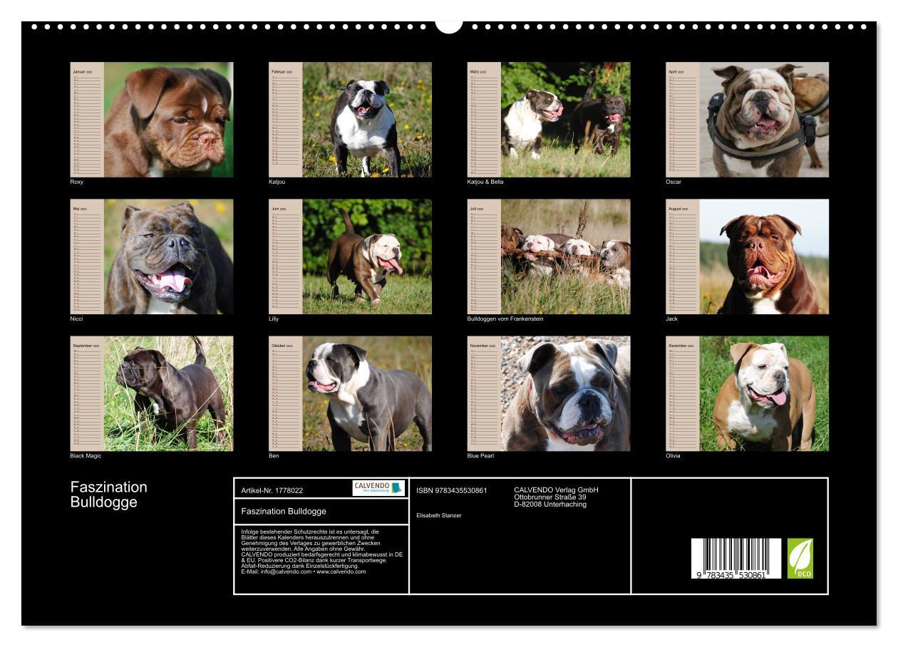 Bild: 9783435530861 | Faszination Bulldogge (hochwertiger Premium Wandkalender 2025 DIN...