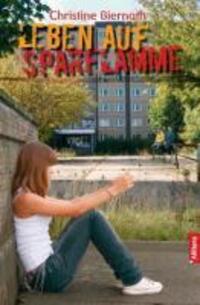 Cover: 9783869064888 | Leben auf Sparflamme | Schatzkiste | Allitera | EAN 9783869064888