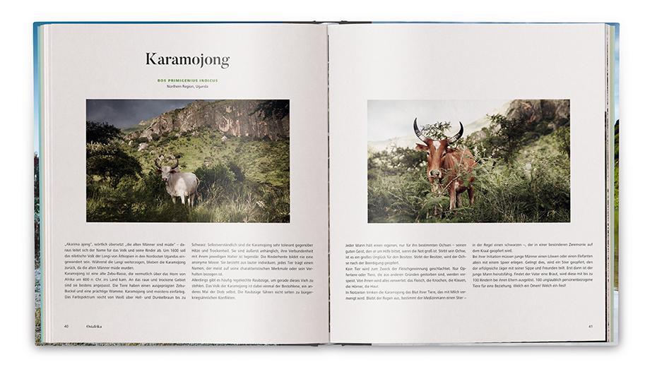 Bild: 9783948272241 | Die Kuh | Eine Hommage | Werner Lampert | Buch | 480 S. | Deutsch