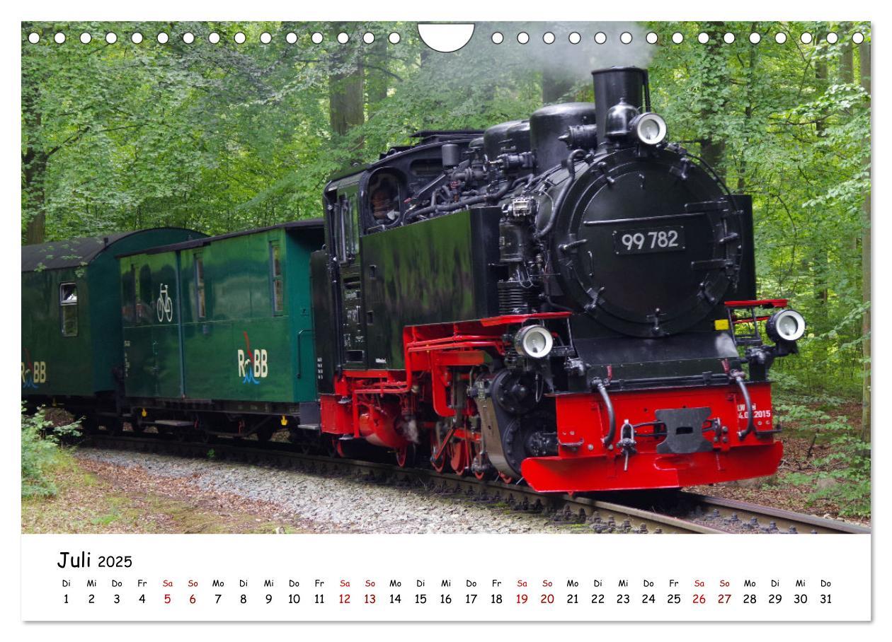 Bild: 9783383932014 | Rügens "rasender Roland" (Wandkalender 2025 DIN A4 quer), CALVENDO...