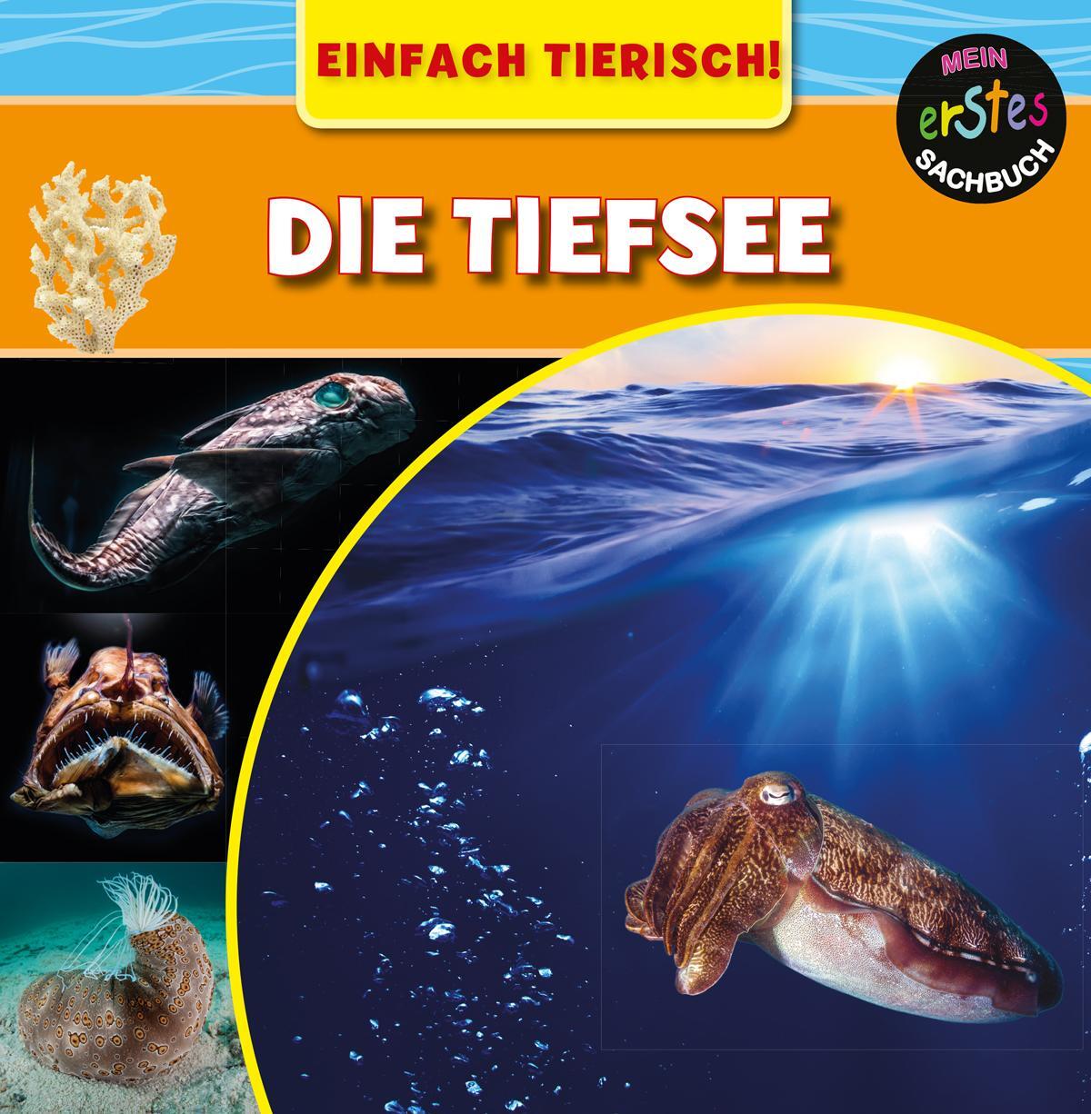 Cover: 9789463410946 | Die Tiefsee | Mary-Jane Wilkins | Buch | Einfach Tierisch! | Deutsch