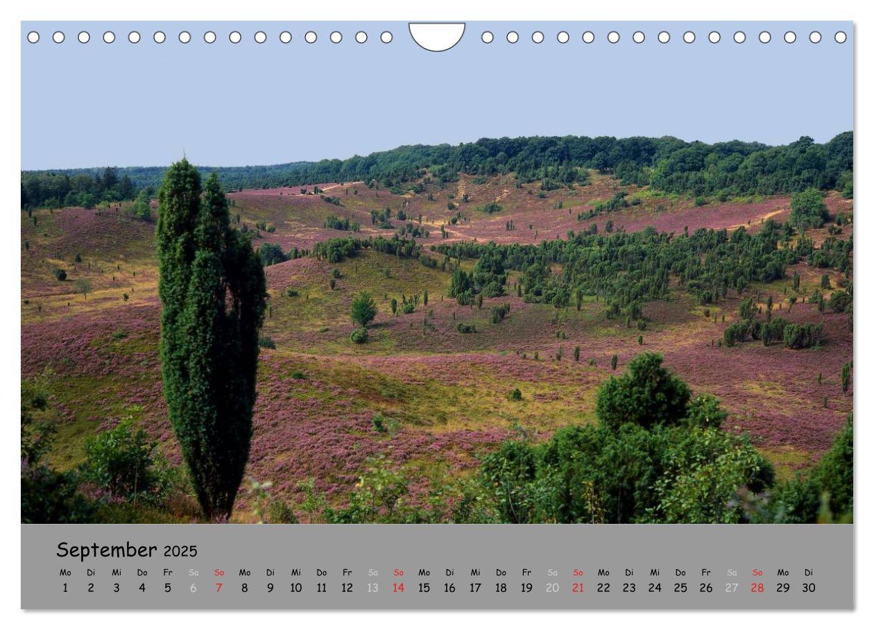 Bild: 9783435679232 | Lüneburger Heide - schön zu jeder Jahreszeit (Wandkalender 2025 DIN...