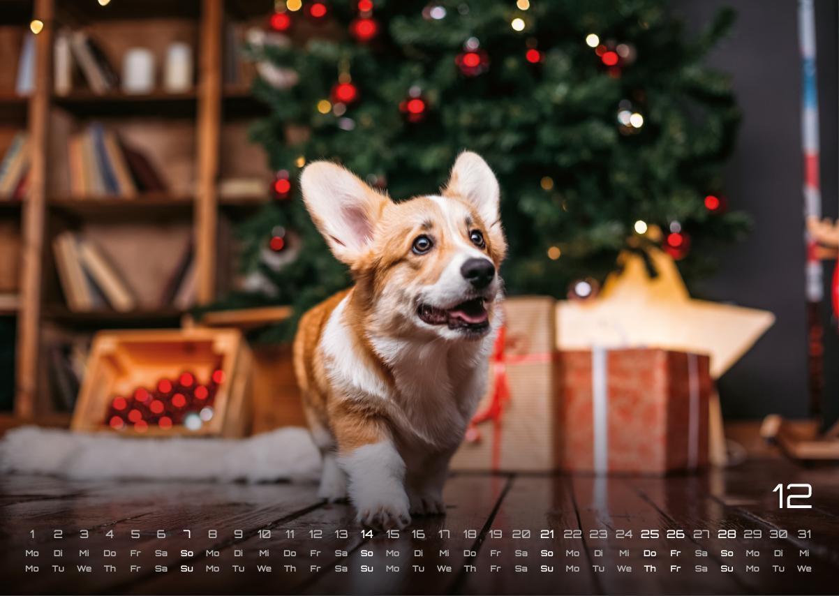 Bild: 9783986733919 | Wuff - Unsere Vierbeiner - Der Hundekalender- 2025 - Kalender DIN A3