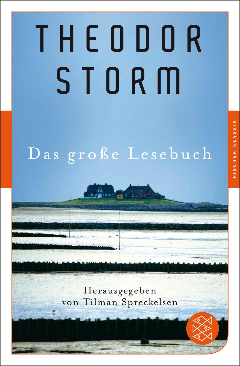 Cover: 9783596906260 | Das große Lesebuch | Theodor Storm | Taschenbuch | 576 S. | Deutsch