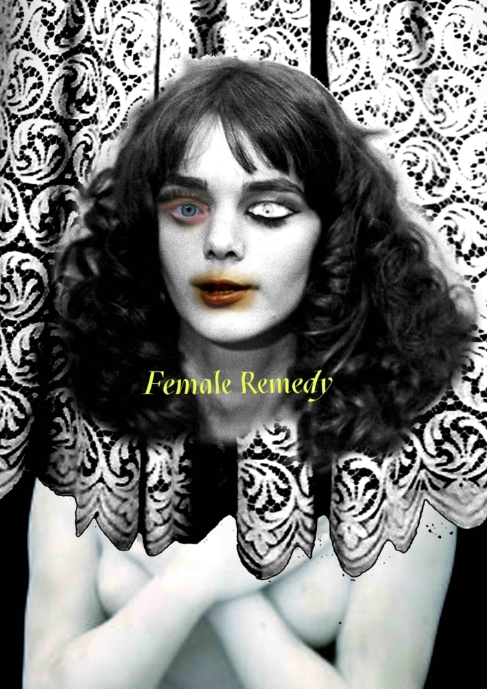 Cover: 9783753303321 | Leila Hekmat. Female Remedy | Haus am Waldsee | Vaginal Davis (u. a.)