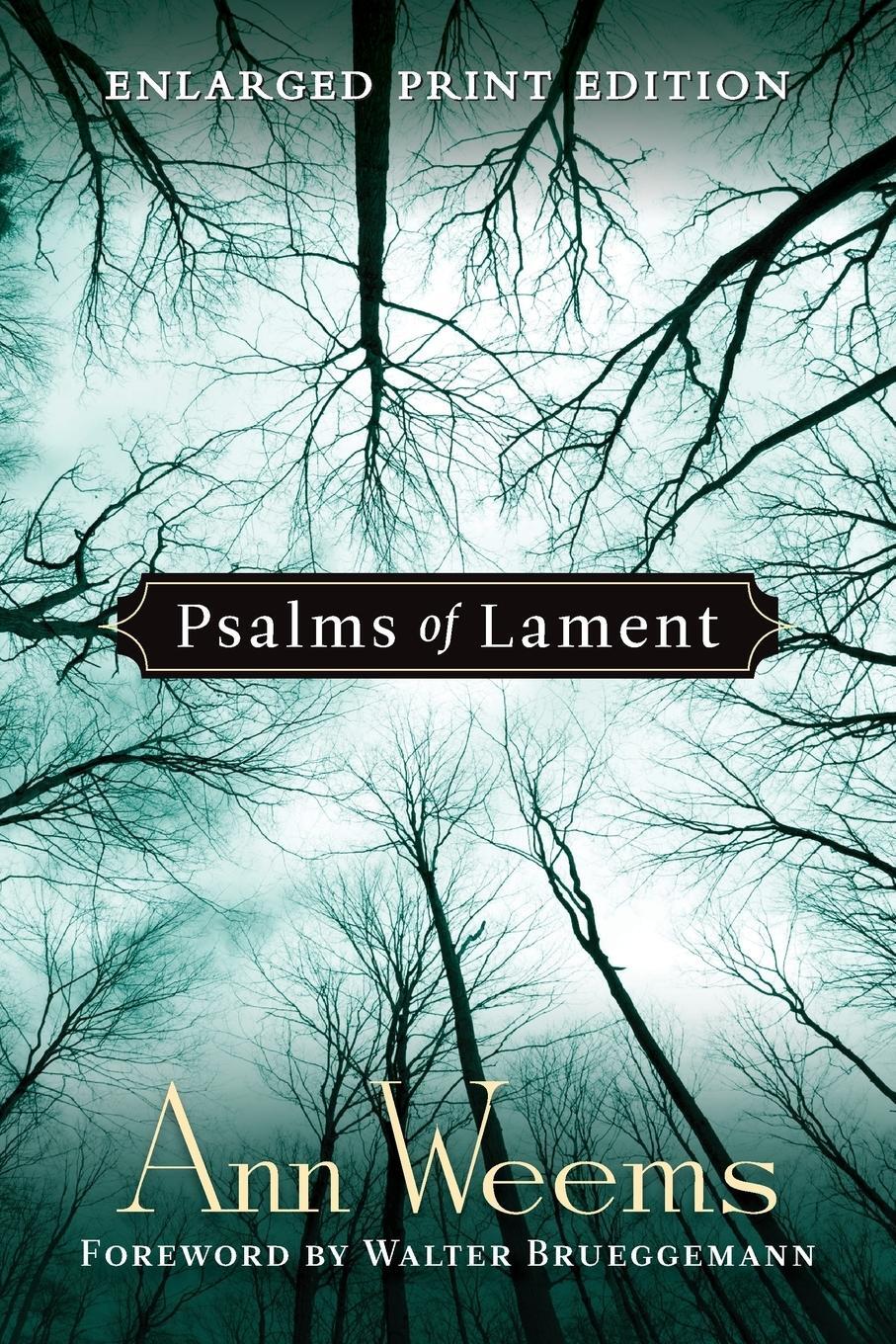 Cover: 9780664258313 | Psalms of Lament | Ann Weems | Taschenbuch | Paperback | Englisch