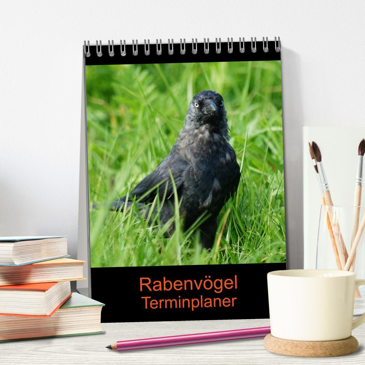 Bild: 9783457020074 | Rabenvögel Terminplaner (Tischkalender 2025 DIN A5 hoch), CALVENDO...