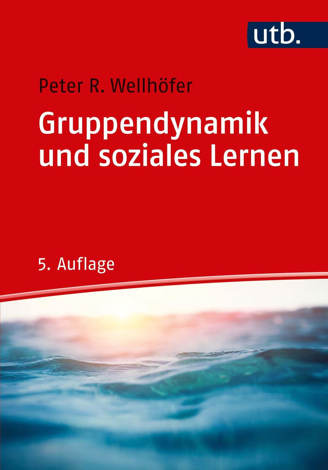 Cover: 9783825250645 | Gruppendynamik und soziales Lernen | Peter R. Wellhöfer | Taschenbuch