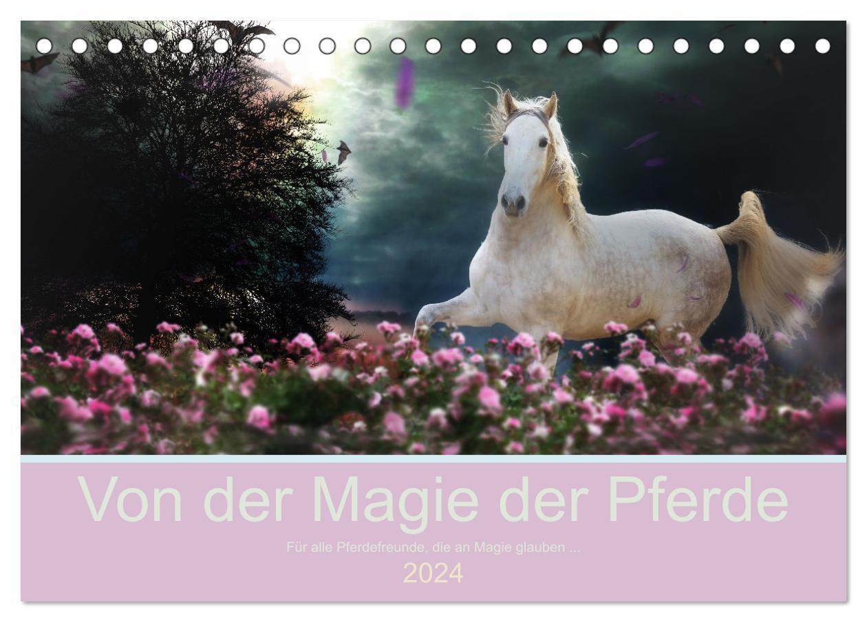 Cover: 9783675549142 | Von der Magie der Pferde (Tischkalender 2024 DIN A5 quer), CALVENDO...