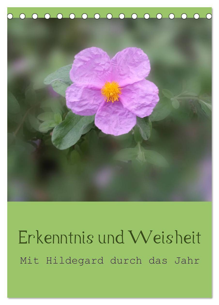 Cover: 9783457059135 | Erkenntnis und Weisheit - Hildegard von Bingen (Tischkalender 2025...