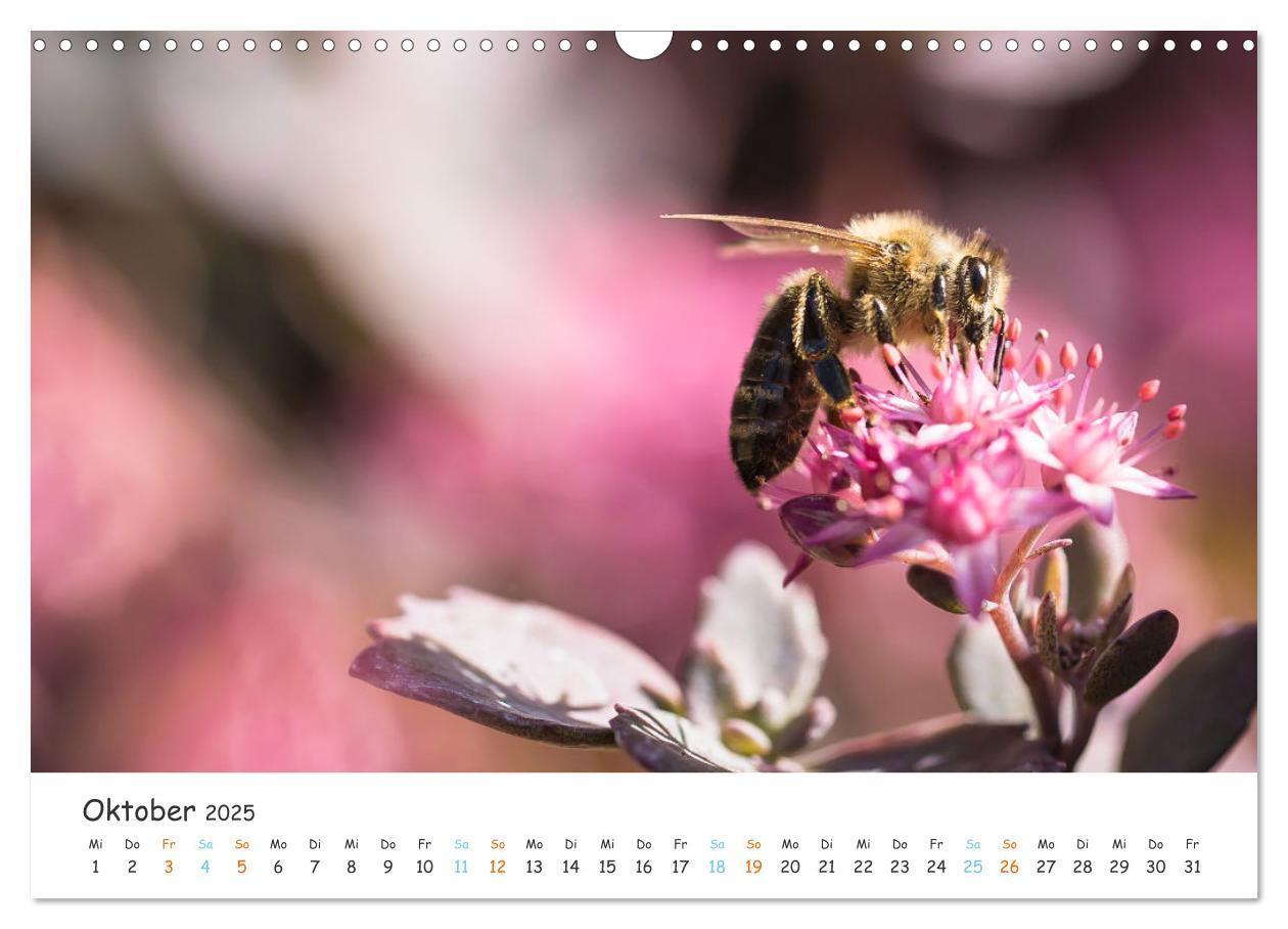 Bild: 9783435051809 | Bee Beautiful - Die phantastische Welt der Bienen (Wandkalender...