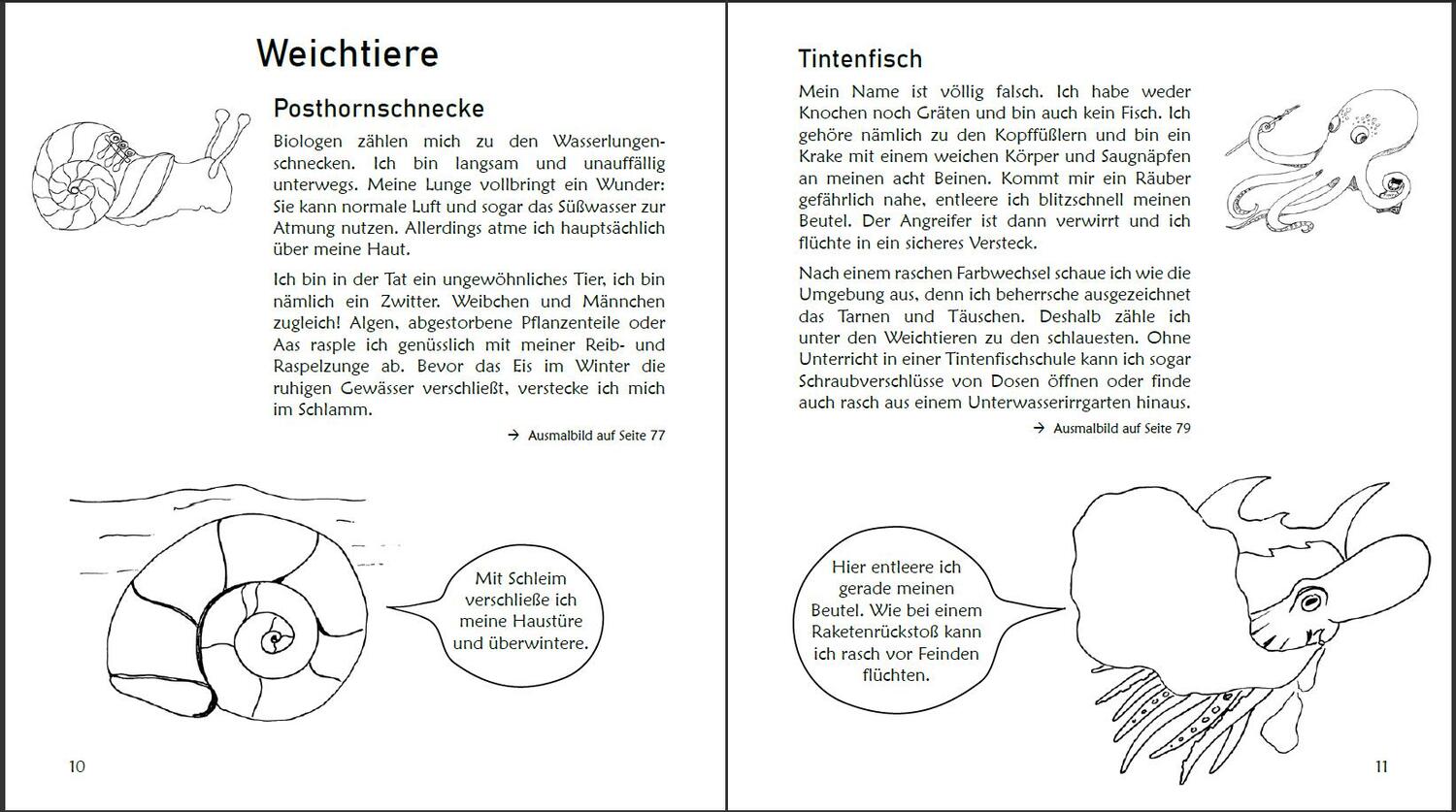 Bild: 9783990820322 | Ausmalspaß + Wissen: Fantatiere - Malbuch ab 6 Jahre. Artenvielfalt...
