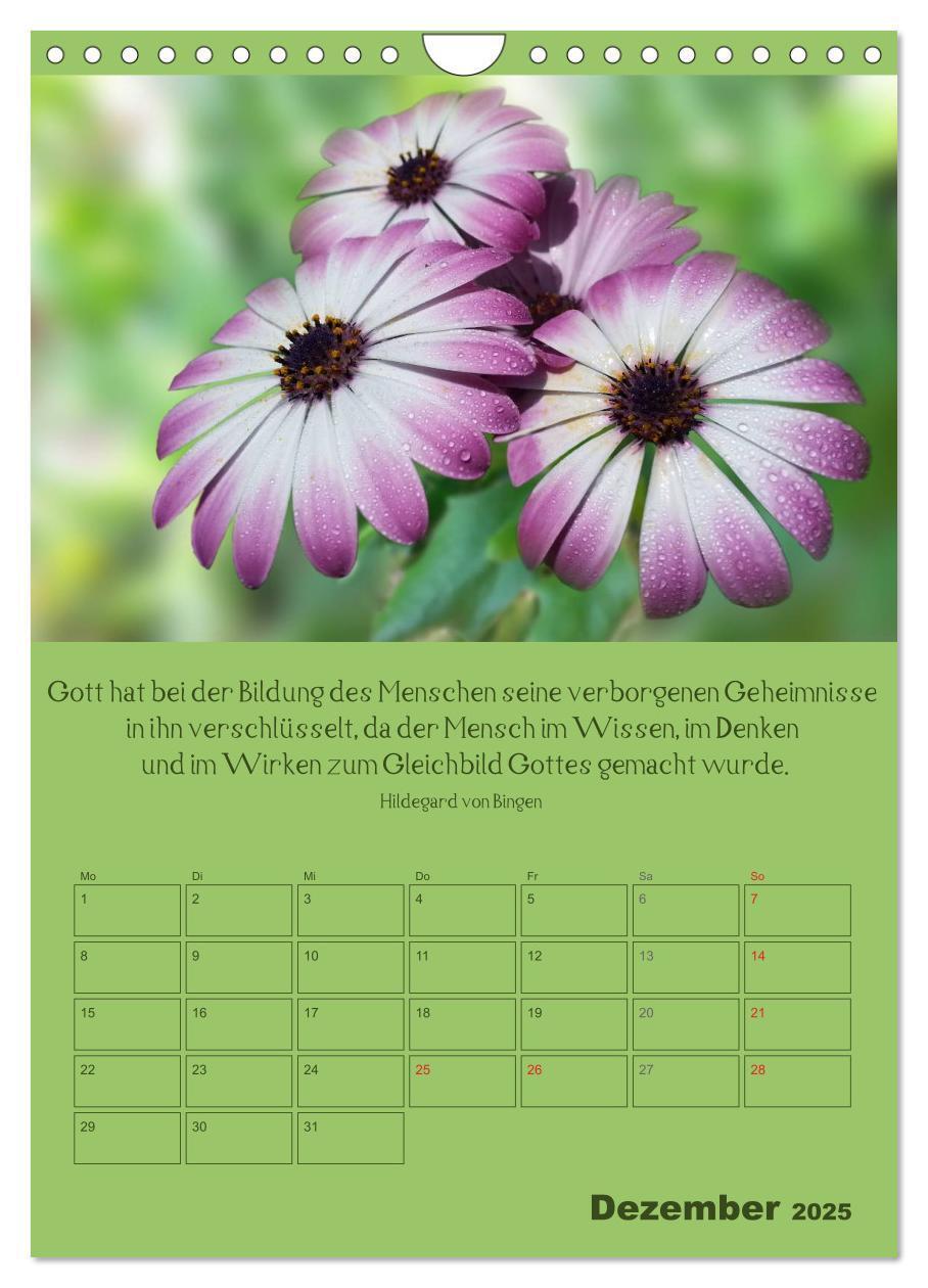 Bild: 9783457060032 | Erkenntnis und Weisheit - Hildegard von Bingen (Wandkalender 2025...