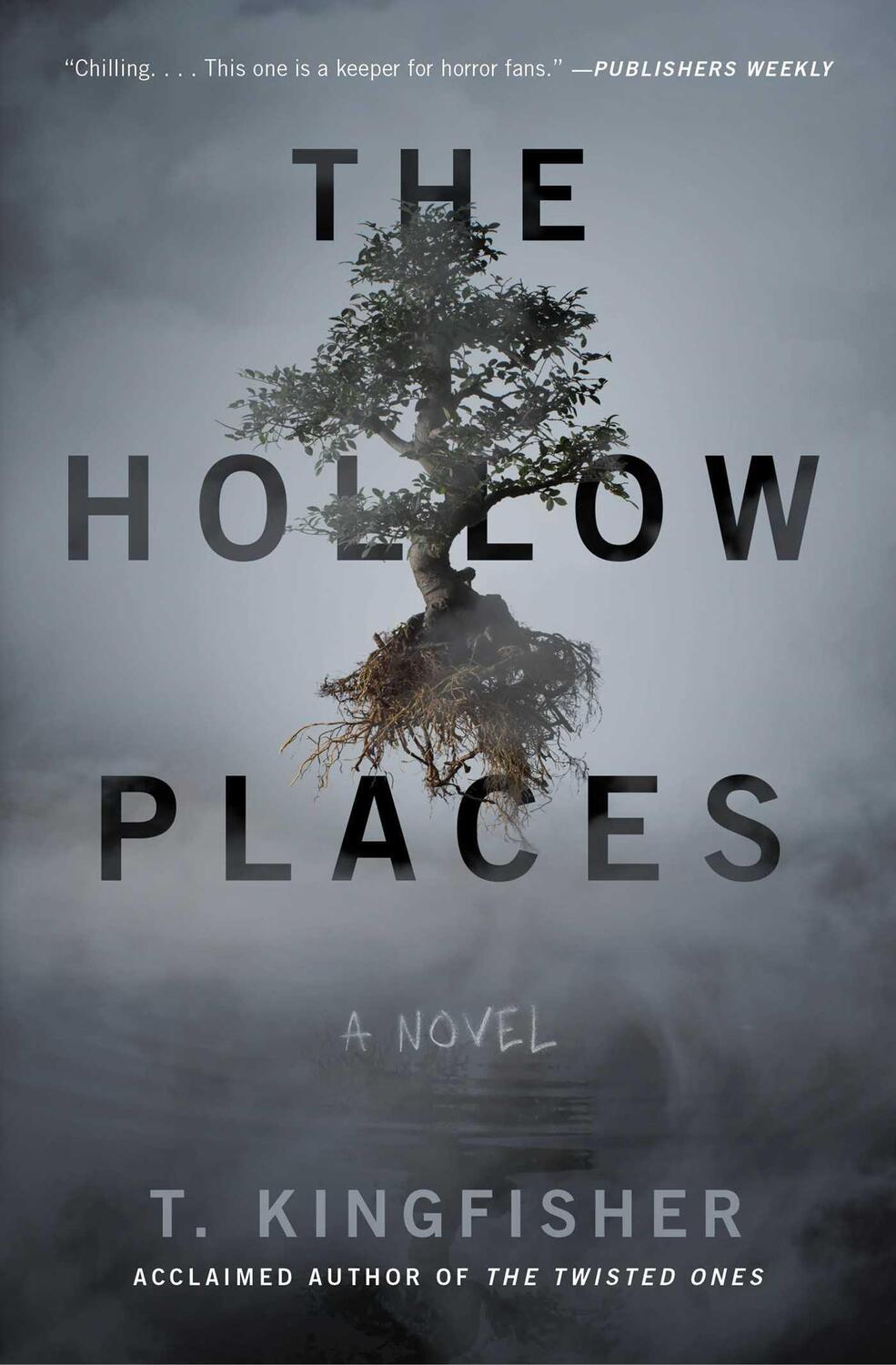 Cover: 9781534451124 | Hollow Places | T. Kingfisher | Taschenbuch | Englisch | 2020