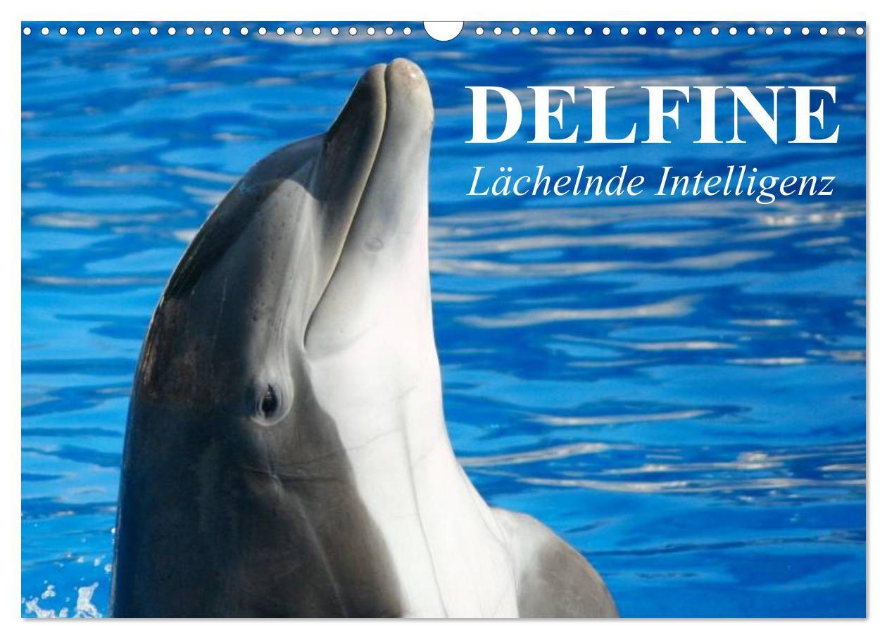 Cover: 9783675962514 | Delfine - Lächelnde Intelligenz (Wandkalender 2024 DIN A3 quer),...