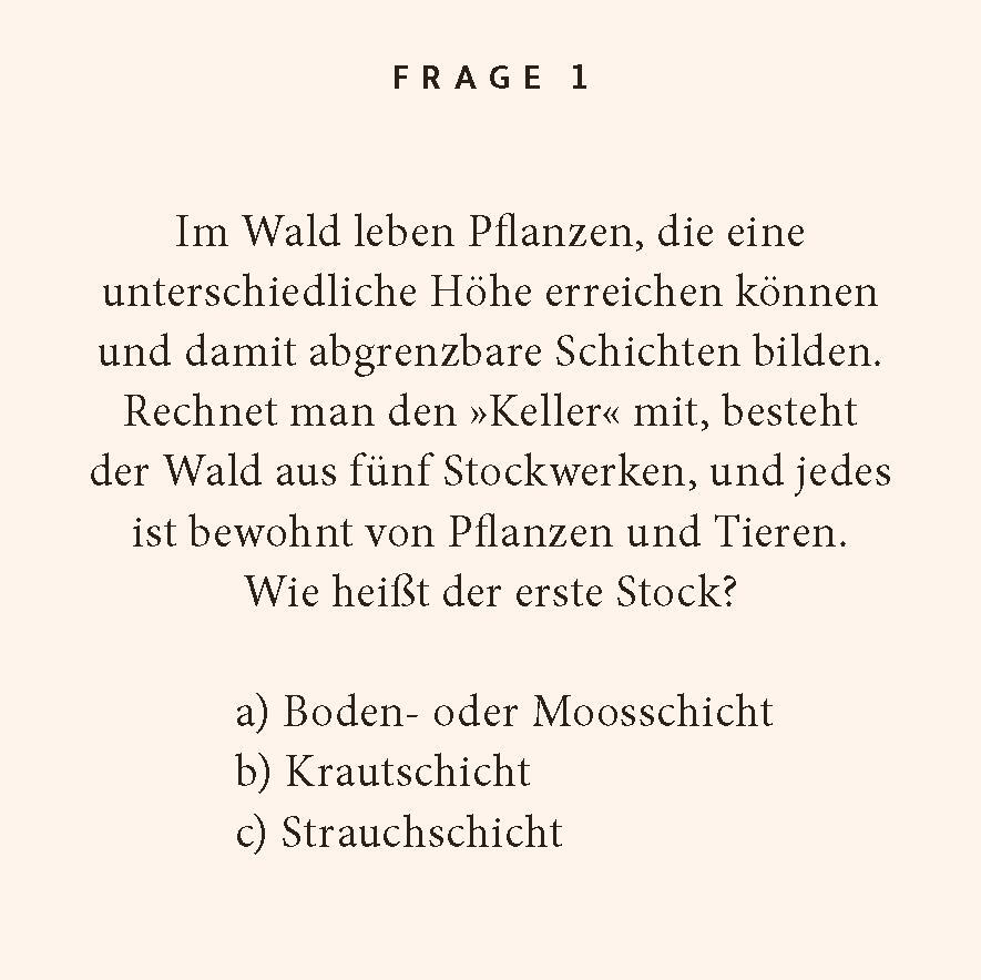 Bild: 9783899784589 | Wald-Quiz | 100 Fragen und Antworten | Birte Stährmann (u. a.) | Buch