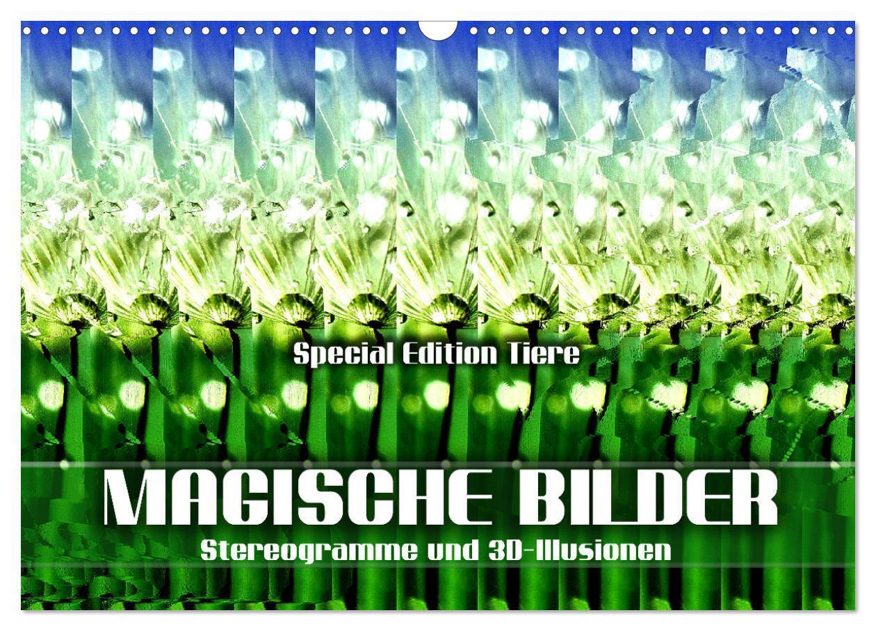 Cover: 9783675967182 | Magische Bilder - Stereogramme und 3D-Illusionen (Wandkalender 2024...