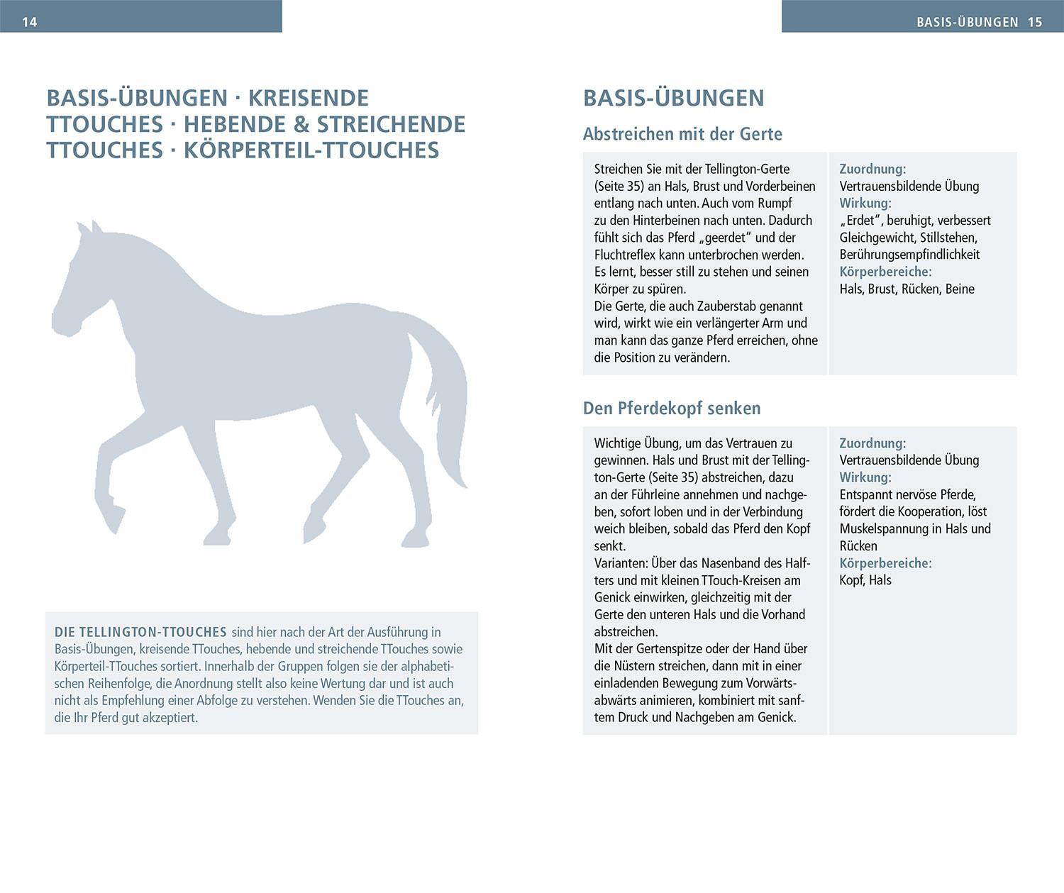 Bild: 9783440171974 | Tellington TTouch für Pferde | Pferdegesundheit kompakt | Taschenbuch