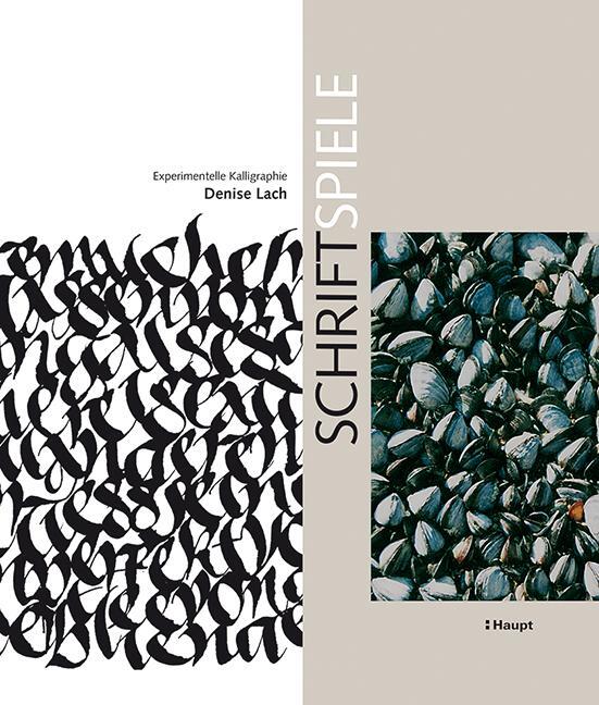 Cover: 9783258600857 | Schriftspiele | Experimentelle Kalligraphie | Denise Lach | Buch