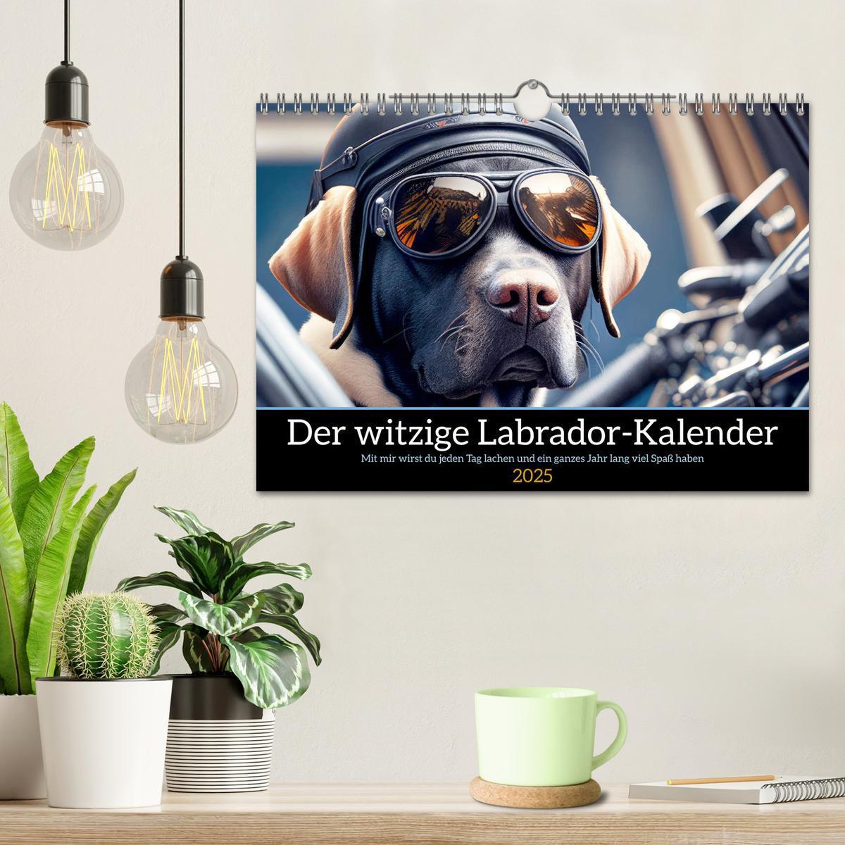 Bild: 9783435368617 | Der witzige Labrador-Kalender (Wandkalender 2025 DIN A4 quer),...