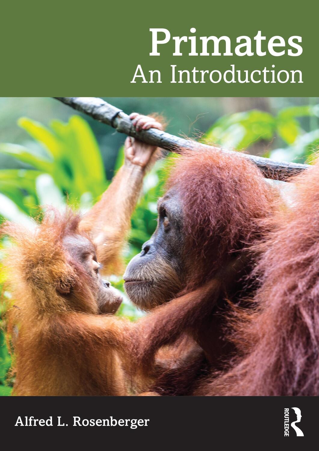 Cover: 9781032189932 | Primates | An Introduction | Alfred L. Rosenberger | Taschenbuch