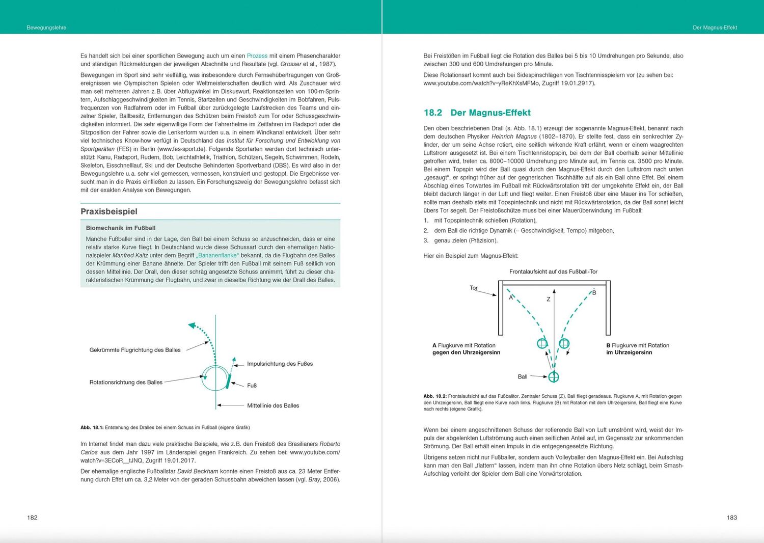 Bild: 9783964161017 | Fit im Schulsport | Optimales Sportwissen für das Sportprofil | Buch