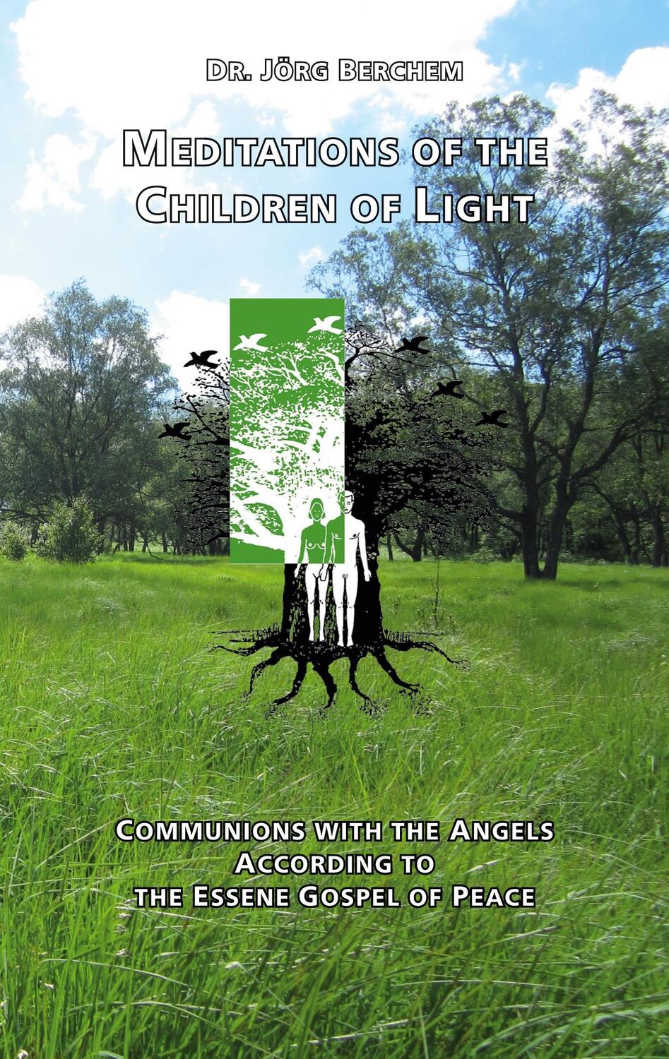 Cover: 9783758326561 | Meditations of the Children of Light | Jörg Berchem | Taschenbuch